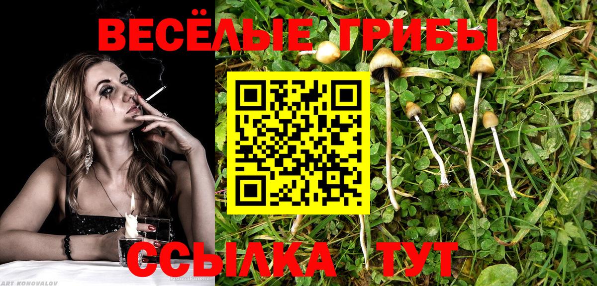 Псилоцибиновые грибы MAGIC MUSHROOMS  Вход с VPN  Новокуйбышевск 