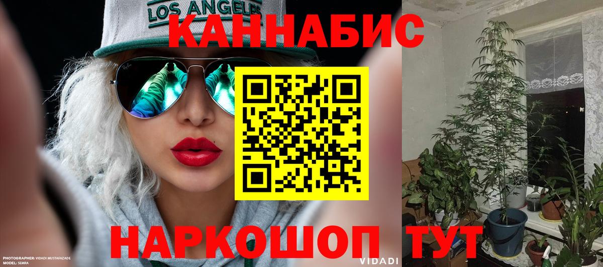 МАРИХУАНА индика  Шишки марихуана план  Вход с VPN  Новокуйбышевск 